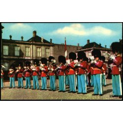 Kbenhavn - Vagtparaden p Amalienborg - u/n