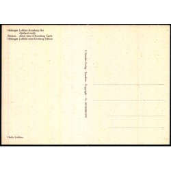 Helsing�r - Luftfoto Kronborg Slot ved Sj�lland Rundt - Stender 149 116 089 - Ubrugt