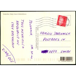 Middelfart : Ddyr foran Lillebltsbroen  - Trojaborg Lill. 6 - Brugt