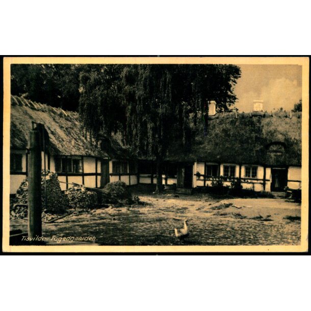 Tisvilde - Foedgaarden - Rudolf Olsen 13135 - Brugt