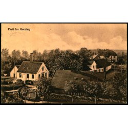 Parti fra H�rning - Frands Petersen u/n - Brugt