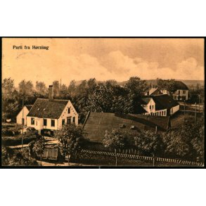 Parti fra H�rning - Frands Petersen u/n - Brugt
