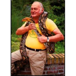 Terrarieejer C.A. Gram med Pythonslange - O.P.O. 8518 - 3 - Ubrugt