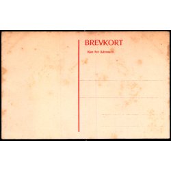 Kongestatuen i Aalborg - A/S Adolph Holst u/n