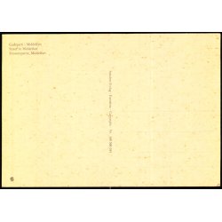 Gadeparti i Middelfart - Stender 149 506 035 - Ubrugt