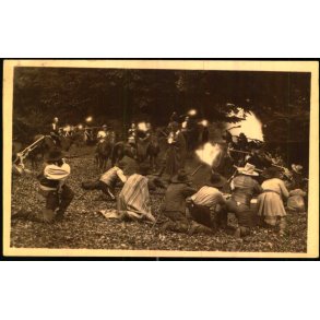 Ulvedalene - Dyrehaven - Scenebillede fra Rverne 39 - Postkort - Ubrugt