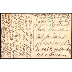 K�benhavn - Parti fra Langelinie - Alex Vincent 6