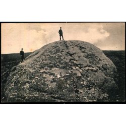 Dame Sten i Hesselager - Danmarks St�rste Rullesten - Stender 7966 - Brugt