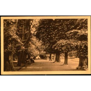 Parti fra Kongenshave - C.S.F. u/n - Brugt