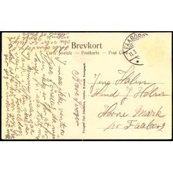 Ruinerne fra Branden paa Holstenshuus Slot 1908  - Carl Johansen u/n - Brugt