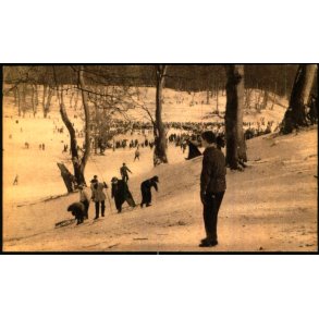 Ulvedalene - Ferslevs Forlag u/n - Ubrugt