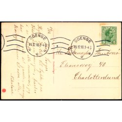 Parti fra Kongens Have Odense - J.C.P.V. u/n - Brugt