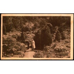 Brahetrolleborg Grotten - C.C. U. Johnsens Bogh. 62946 - Brugt