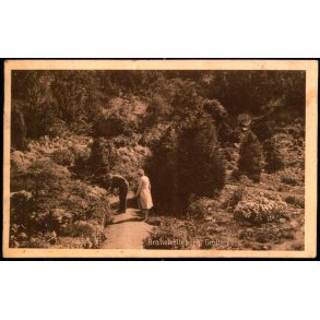 Brahetrolleborg Grotten - C.C. U. Johnsens Bogh. 62946 - Brugt