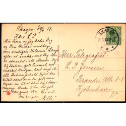 Skagen - Ved Holger Drachmanns Grav -  Skagens 24958 - Brugt