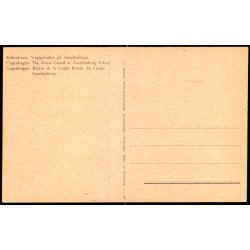 Kbenhavn - Vagtparaden p Amalienborg - Rudolf Olsen 65