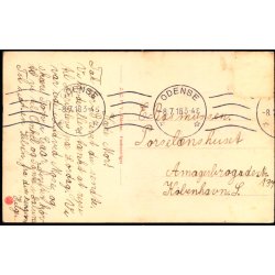 Parti fra Kongens Have Odense - J.C.P.V. u/n - Brugt