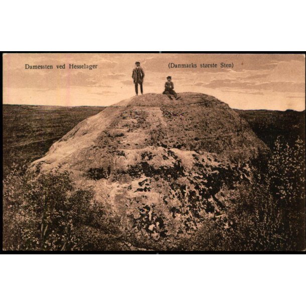 Damessten ved Hesselager - (Danmarks St�rste Sten) - BPM 6577-25 - Ubrugt
