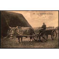 Det sidste Studek�ret�j fra Assig - J. S�rensen f 6 - Ubrugt