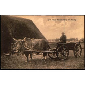 Det sidste Studek�ret�j fra Assig - J. S�rensen f 6 - Ubrugt