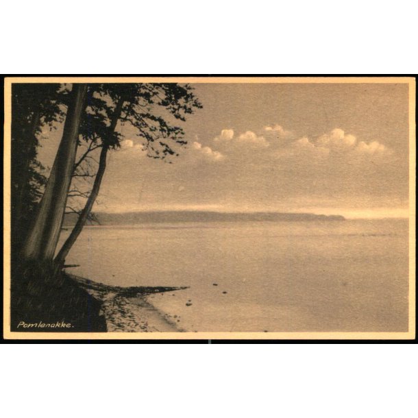 Pomlenakke - P. Andersen 18811 - Ubrugt