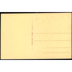  Parti fra Kongens Have Odense - J.C.P.V. u/n - Ubrugt