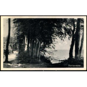 Pomlenakke - M.H. Eneret 66504 - Ubrugt