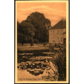  Parti fra Kongens Have Odense - J.C.P.V. u/n - Ubrugt