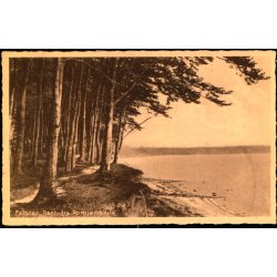 Falster - Parti fra Pomlenakke - Stender F. 19 - Ubrugt