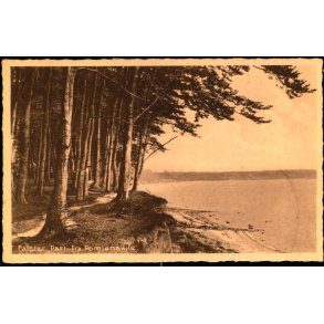 Falster - Parti fra Pomlenakke - Stender F. 19 - Ubrugt