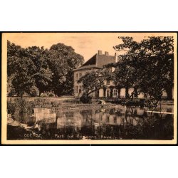 Odense - Parti fra Kongens Have - Stender 26434 - Brugt