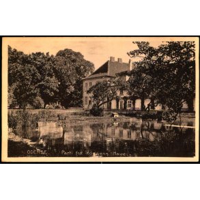 Odense - Parti fra Kongens Have - Stender 26434 - Brugt