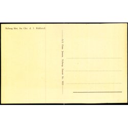 Nyborg Slot - fra Chr. d. 3. Riddersal - A/S Hans Jensen 9820 - Ubrugt