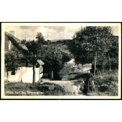 Mols - Parti fra Femm�ller - Allingeaabro Bogh. 34027 - Brugt