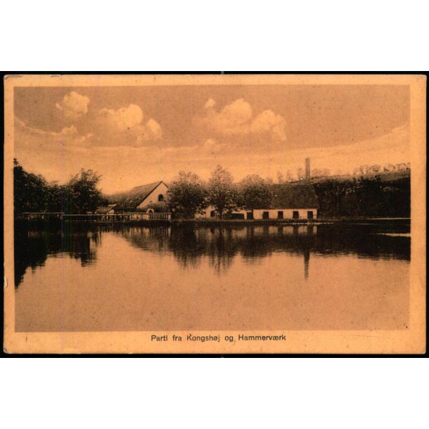 Parti ved Kongsh�j og Hammerv�rk - Johan Hansen 3972 - Brugt