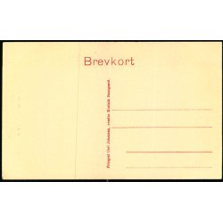 Skarntyde M�lle i Holstenshus Skov - Carl Johansen u/n -Ubrugt