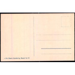 Tivoli - Koncertsalen  - Illumineret - Chr. Olsen 221