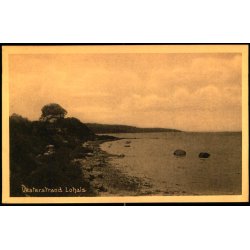 Kopi af Vesterstrand - Lohals - C. Jenssen- Tuch Bogh. 51