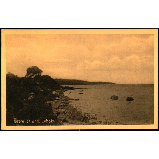 Kopi af Vesterstrand - Lohals - C. Jenssen- Tuch Bogh. 51