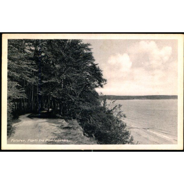 Falster - Parti fra Polmenakke - Stender N. 244 - Ubrugt