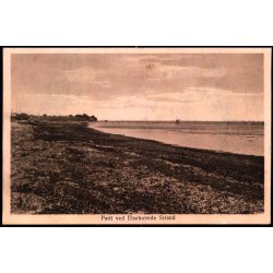 Parti fra Elsehoived Strand - Rosen�rn Nielsen 63 - Ubrugt