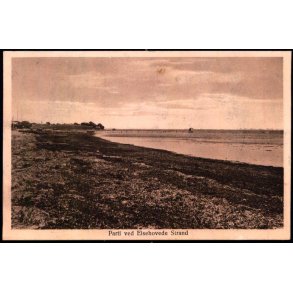 Parti fra Elsehoived Strand - Rosen�rn Nielsen 63 - Ubrugt