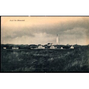 Parti fra Blaavand - P. Petersen u/n - Ubrugt