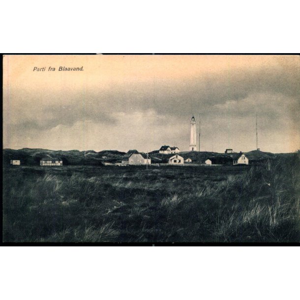 Parti fra Blaavand - P. Petersen u/n - Ubrugt
