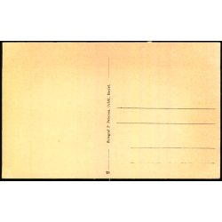 Parti fra Blaavand - P. Petersen u/n - Ubrugt