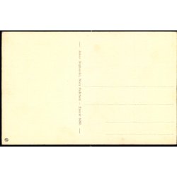 Magnusstenen - Skibelund - Askov Bogh. 84385 - Ubrugt