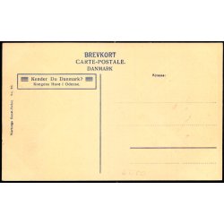 Kongens Have i odense - Warburgs Kunst-Forlag 20 - Ubrugt