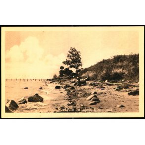 Parti fra Lohals -  sterstrand - Andr. Brandts Bogh. 58261