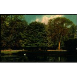 Kongens Have i odense - Warburgs Kunst-Forlag 20 - Ubrugt