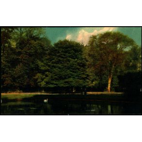 Kongens Have i odense - Warburgs Kunst-Forlag 20 - Ubrugt